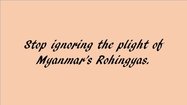 Stop ignoring plight of Myanmar's Rohingyas